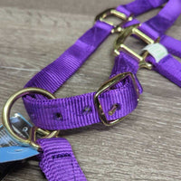 Thick Soft Nylon Halter, adj, snap, tag *new
