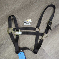 Nylon Halter, snap, tag *new

