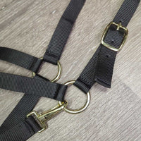 Nylon Halter, snap, tag *new
