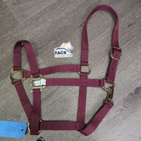 Nylon Halter, snap, tag *new
