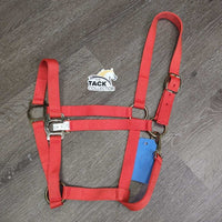 Nylon Halter, snap, tag *new
