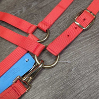 Nylon Halter, snap, tag *new
