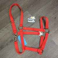 Nylon Halter, snap, tag *new
