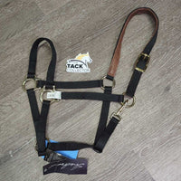 Thick Narrow Nylon Leather Lined Crown Halter, adj, snap, tag *new
