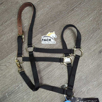 Thick Narrow Nylon Leather Lined Crown Halter, adj, snap, tag *new
