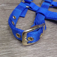 Adjustable Nylon Halter, tag *new
