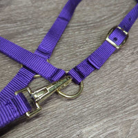 Nylon Halter, snap, tag *new
