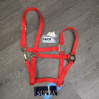 Nylon Halter, snap, tag *new
