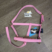 Nylon Halter, adj, catch strap, tag *new

