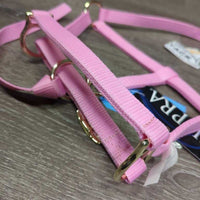 Nylon Halter, adj, catch strap, tag *new
