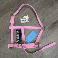 Nylon Halter, adj, catch strap, tag *new
