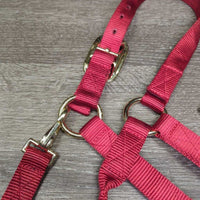Thick Nylon Halter, adj, snap, tag *new
