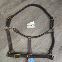 Leather Halter, adj, snap, tag
