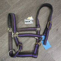 Nylon Web & Padded Neoprene Halter, adj, snap *gc, dirty, rubs, mnr frayed hole
