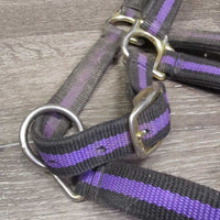 Nylon Web & Padded Neoprene Halter, adj, snap *gc, dirty, rubs, mnr frayed hole
