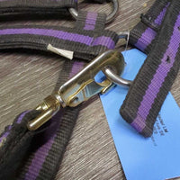 Nylon Web & Padded Neoprene Halter, adj, snap *gc, dirty, rubs, mnr frayed hole
