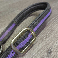Nylon Web & Padded Neoprene Halter, adj, snap *gc, dirty, rubs, mnr frayed hole
