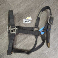 Thick Nylon Halter *gc/fair, stiff, dirty, faded, chips, dry
