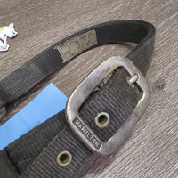 Thick Nylon Halter *gc/fair, stiff, dirty, faded, chips, dry
