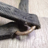 Thick Nylon Halter *gc/fair, stiff, dirty, faded, chips, dry
