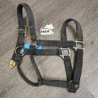 Thick Nylon Halter *gc/fair, stiff, dirty, faded, chips, dry
