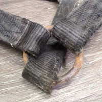 Thick Nylon Halter *gc/fair, stiff, dirty, faded, chips, dry
