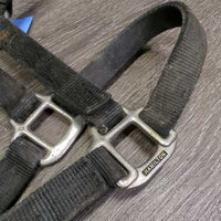Thick Nylon Halter *gc/fair, stiff, dirty, faded, chips, dry
