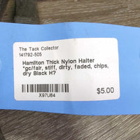 Thick Nylon Halter *gc/fair, stiff, dirty, faded, chips, dry
