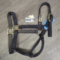 Thick Nylon Halter *gc, dirty, edge frays, rubs, stains, hairy, faded
