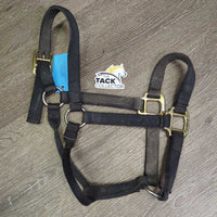 Thick Nylon Halter *gc, dirty, edge frays, rubs, stains, hairy, faded
