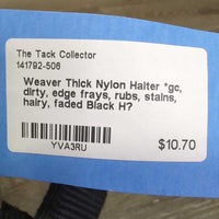 Thick Nylon Halter *gc, dirty, edge frays, rubs, stains, hairy, faded
