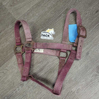 Thick Nylon Halter *gc/fair, stiff, dirty, faded, chips, dry, discolored, rusty, older
