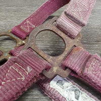 Thick Nylon Halter *gc/fair, stiff, dirty, faded, chips, dry, discolored, rusty, older

