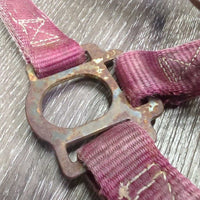 Thick Nylon Halter *gc/fair, stiff, dirty, faded, chips, dry, discolored, rusty, older
