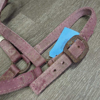 Thick Nylon Halter *gc/fair, stiff, dirty, faded, chips, dry, discolored, rusty, older

