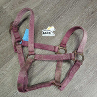 Thick Nylon Halter *gc/fair, stiff, dirty, faded, chips, dry, discolored, rusty, older
