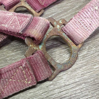 Thick Nylon Halter *gc/fair, stiff, dirty, faded, chips, dry, discolored, rusty, older
