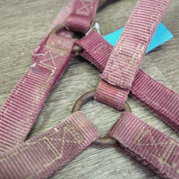 Thick Nylon Halter *gc/fair, stiff, dirty, faded, chips, dry, discolored, rusty, older
