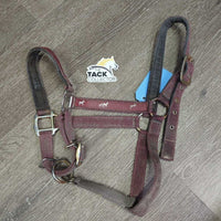 Thick Nylon & Ribbon Halter *gc/fair, stiff, dirty, faded, chips, dry, discolored, rusty, older
