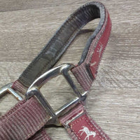 Thick Nylon & Ribbon Halter *gc/fair, stiff, dirty, faded, chips, dry, discolored, rusty, older
