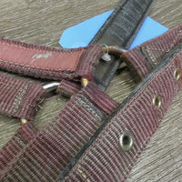 Thick Nylon & Ribbon Halter *gc/fair, stiff, dirty, faded, chips, dry, discolored, rusty, older
