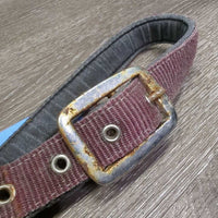 Thick Nylon & Ribbon Halter *gc/fair, stiff, dirty, faded, chips, dry, discolored, rusty, older
