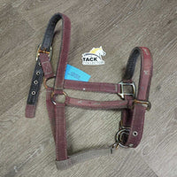 Thick Nylon & Ribbon Halter *gc/fair, stiff, dirty, faded, chips, dry, discolored, rusty, older
