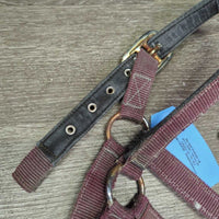 Thick Nylon & Ribbon Halter *gc/fair, stiff, dirty, faded, chips, dry, discolored, rusty, older
