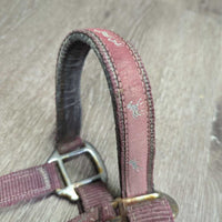 Thick Nylon & Ribbon Halter *gc/fair, stiff, dirty, faded, chips, dry, discolored, rusty, older
