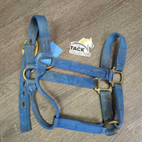 Thick Nylon Halter *gc, dirty, stains, rubs, frays, faded, older
