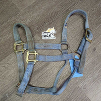Thick Nylon Halter *gc, dirty, stains, rubs, frays, faded
