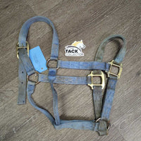 Thick Nylon Halter *gc, dirty, stains, rubs, frays, faded
