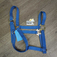 Thin Nylon Halter *gc/vgc, mnr dirt, rust & stains
