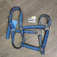 Thick Nylon Halter *gc, dirty, stains, rubs, frays, faded, older
